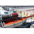 Complete unit of industrial tomato puree processing machine